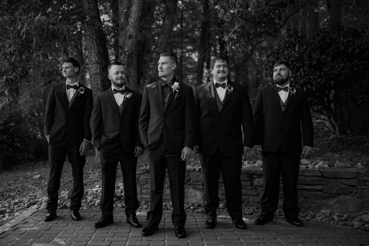 Weddings(16)