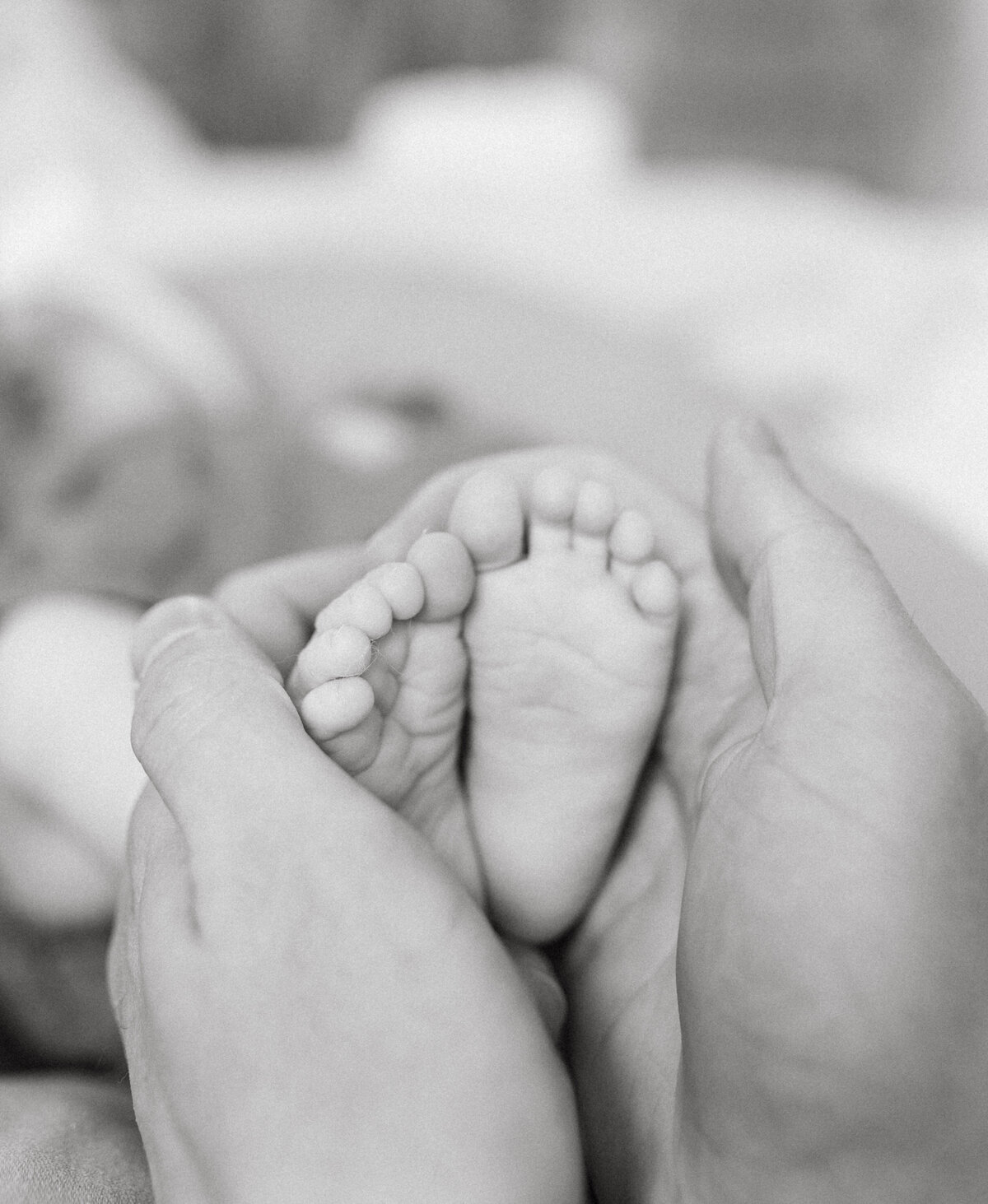 SAMANTHA HOLLI CREATIVE-24