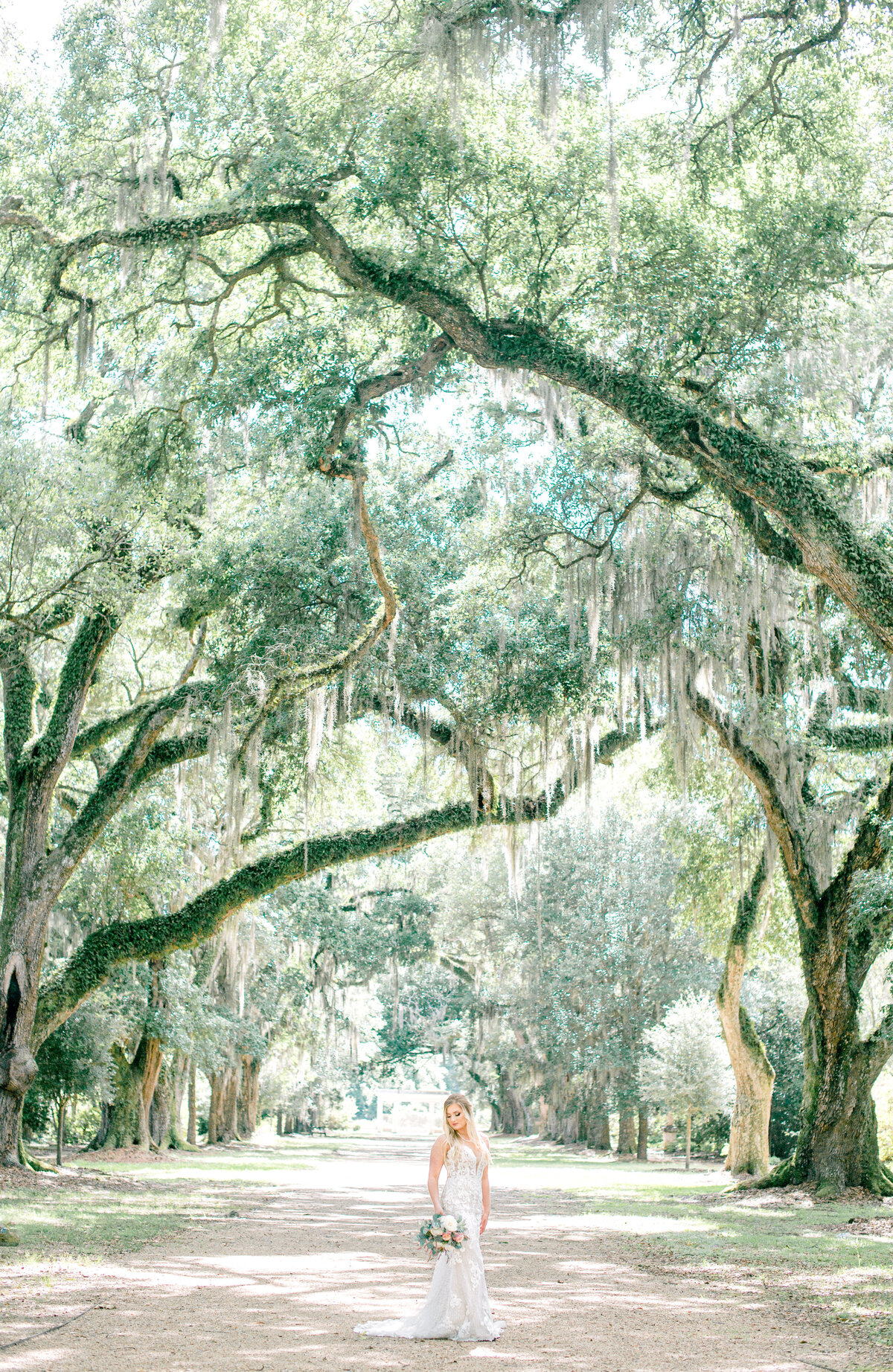 st.francisville rosedown plantation bridals-5