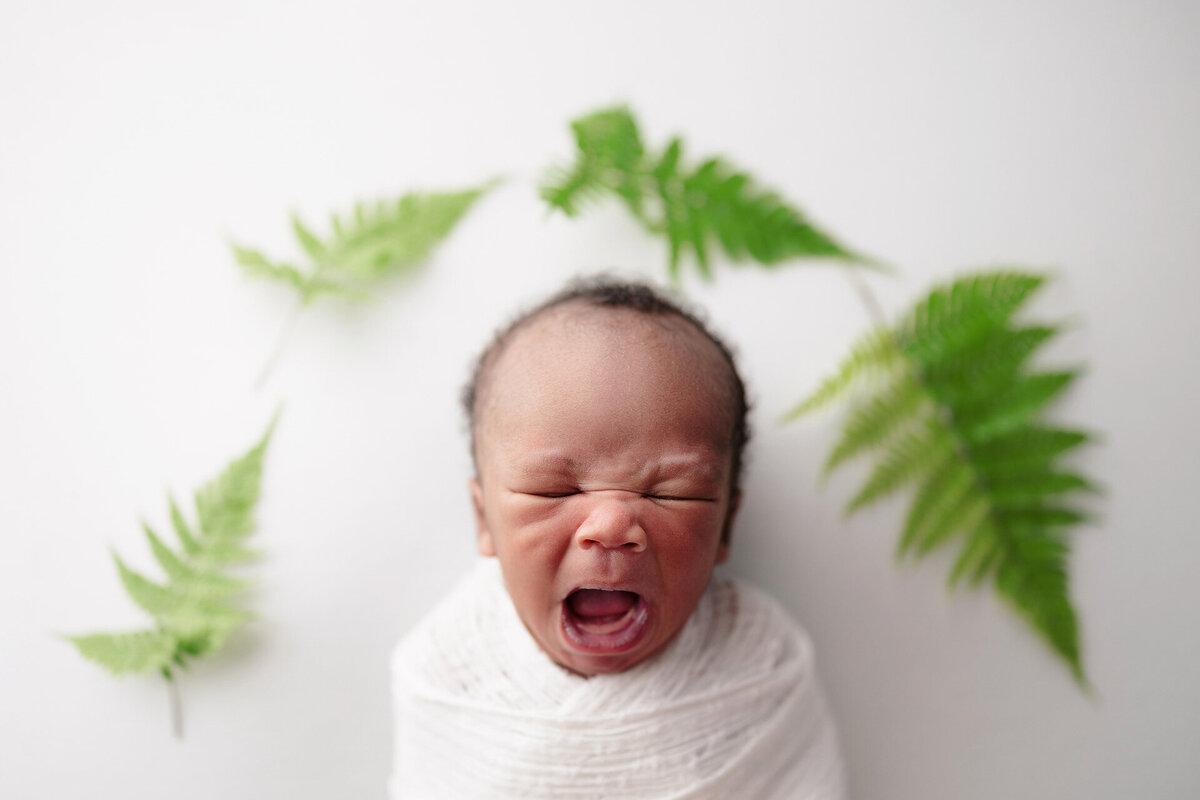 memphis newborn photography by jen howell 9