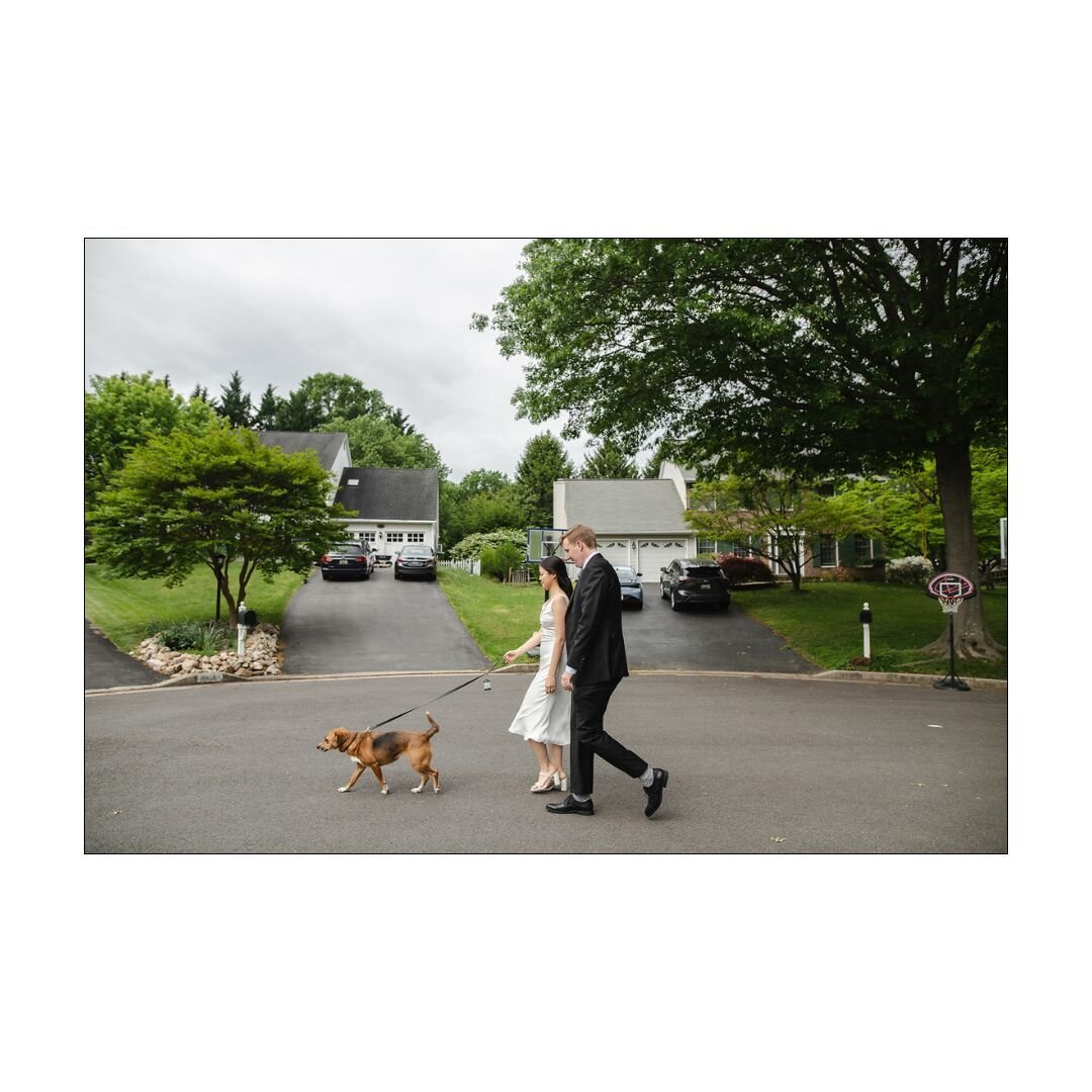 HowardCountyMarylandCourthouseWedding449771320_1000613928730565_8381713098947269557_n