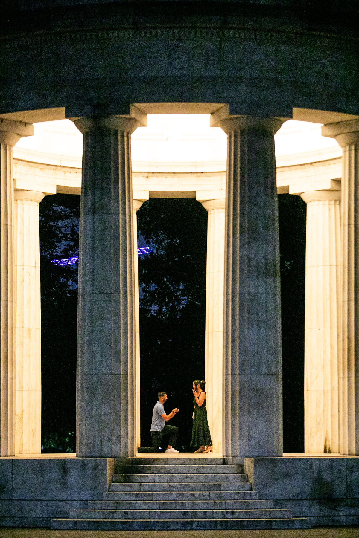 Ali-&-Dilman-Surprise-Proposal-8