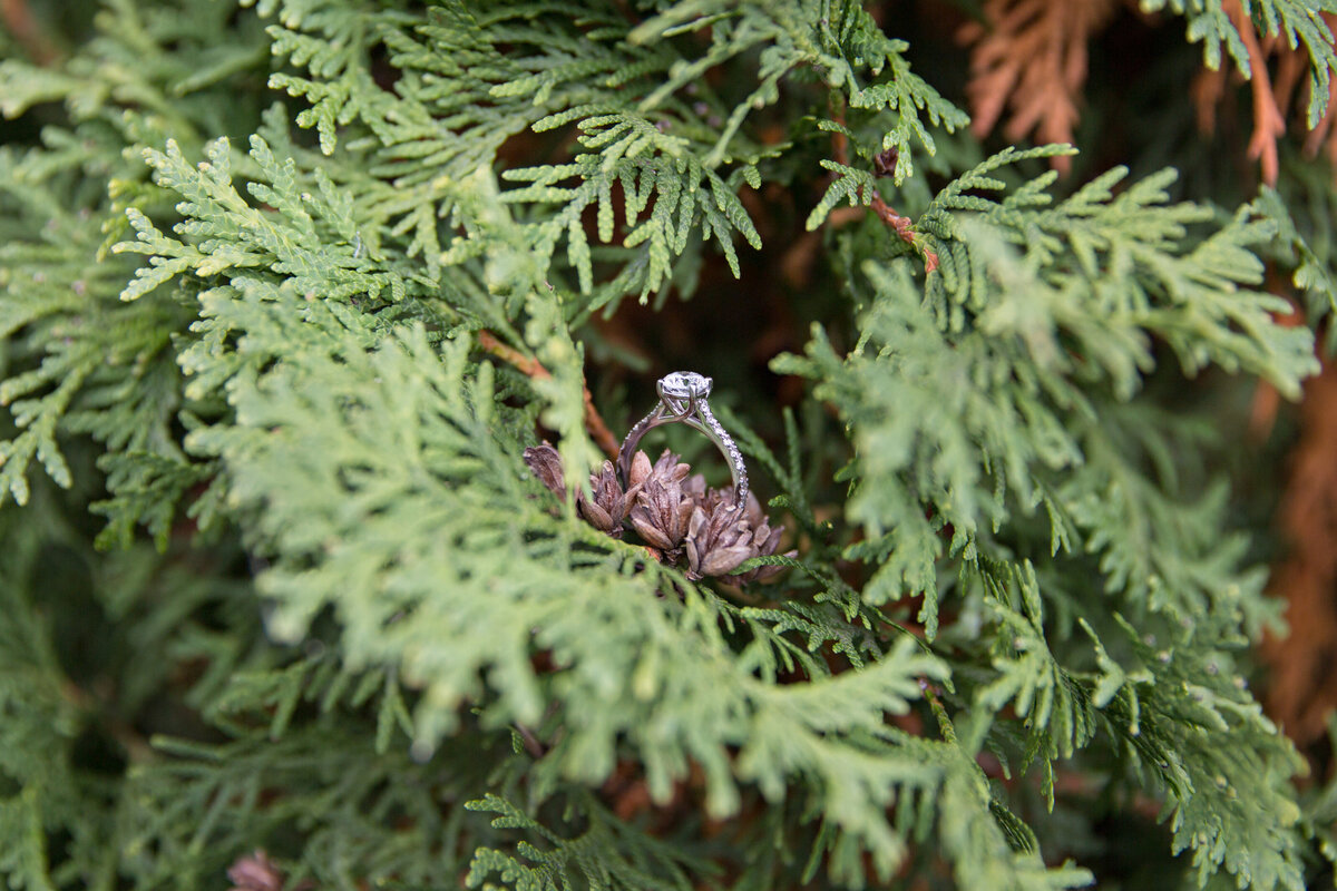 0P8A2059 copy