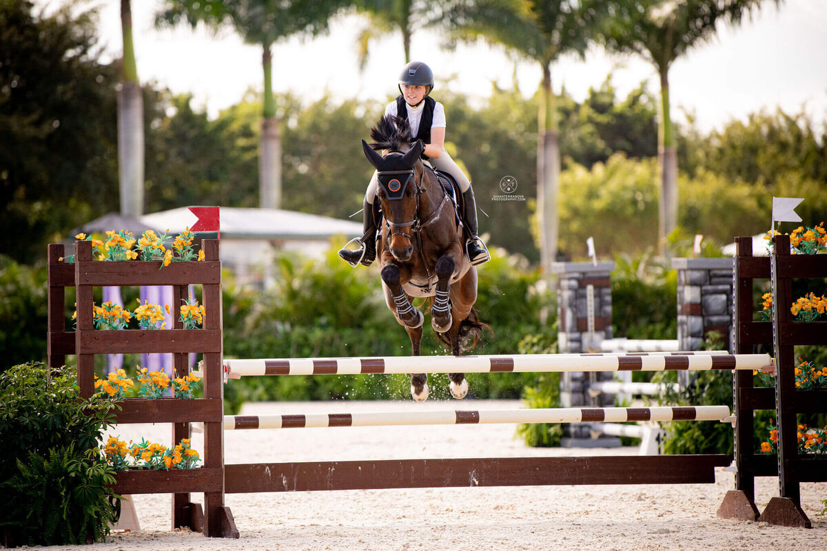 MICHIGAN SHOWJUMPING TEAM, SHOWJUMPING HORSES_US EQUESTRIAN TEAM (2)