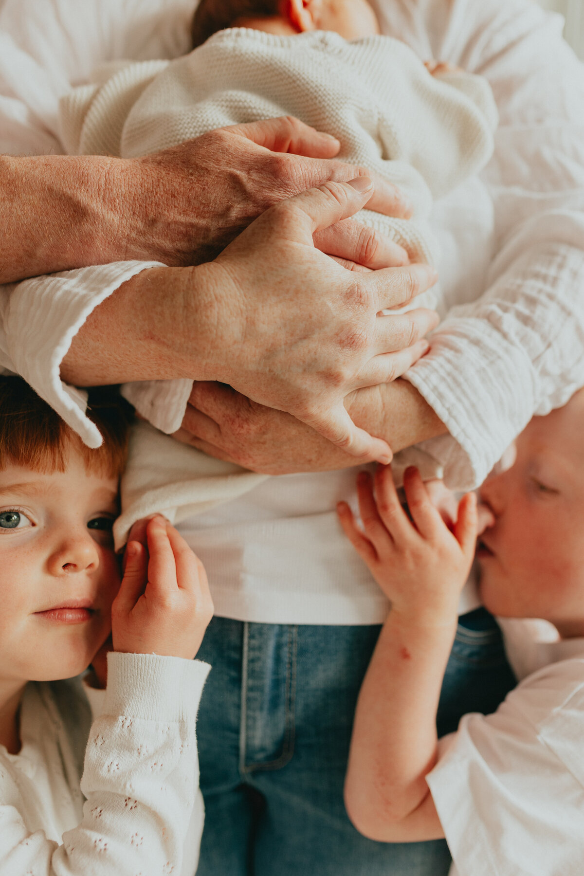 langley family & newborn photographer