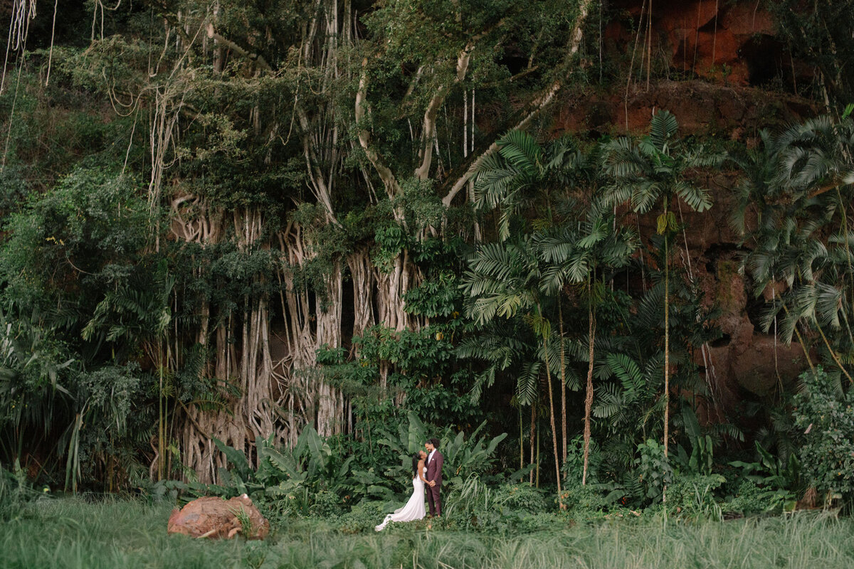 waimea_valley_oahu_photographer