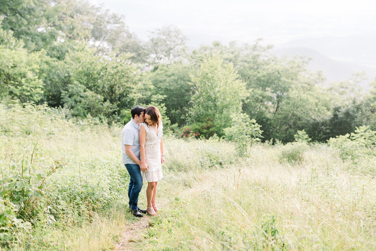 Candice Adelle Photography charleston virginia Wedding Photographer Skyline Drive Engagement (4 of 10)