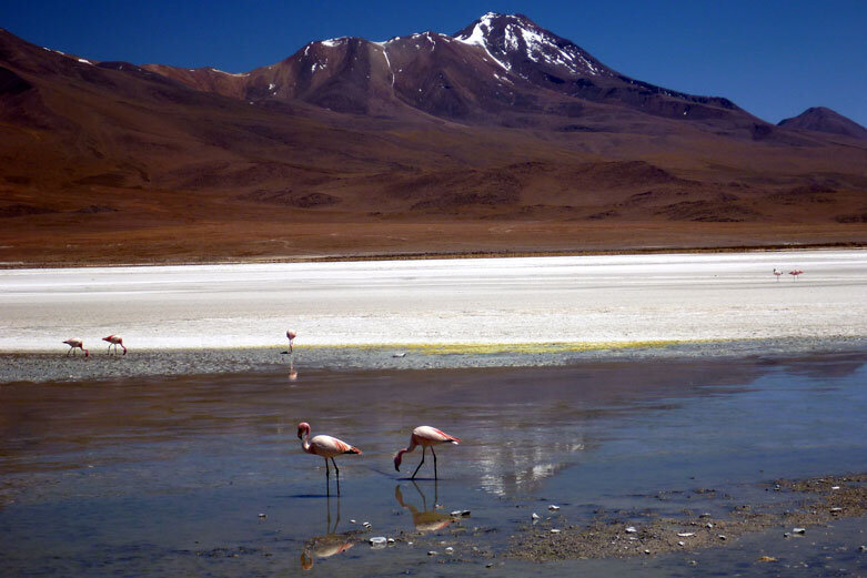 LagunaColorada