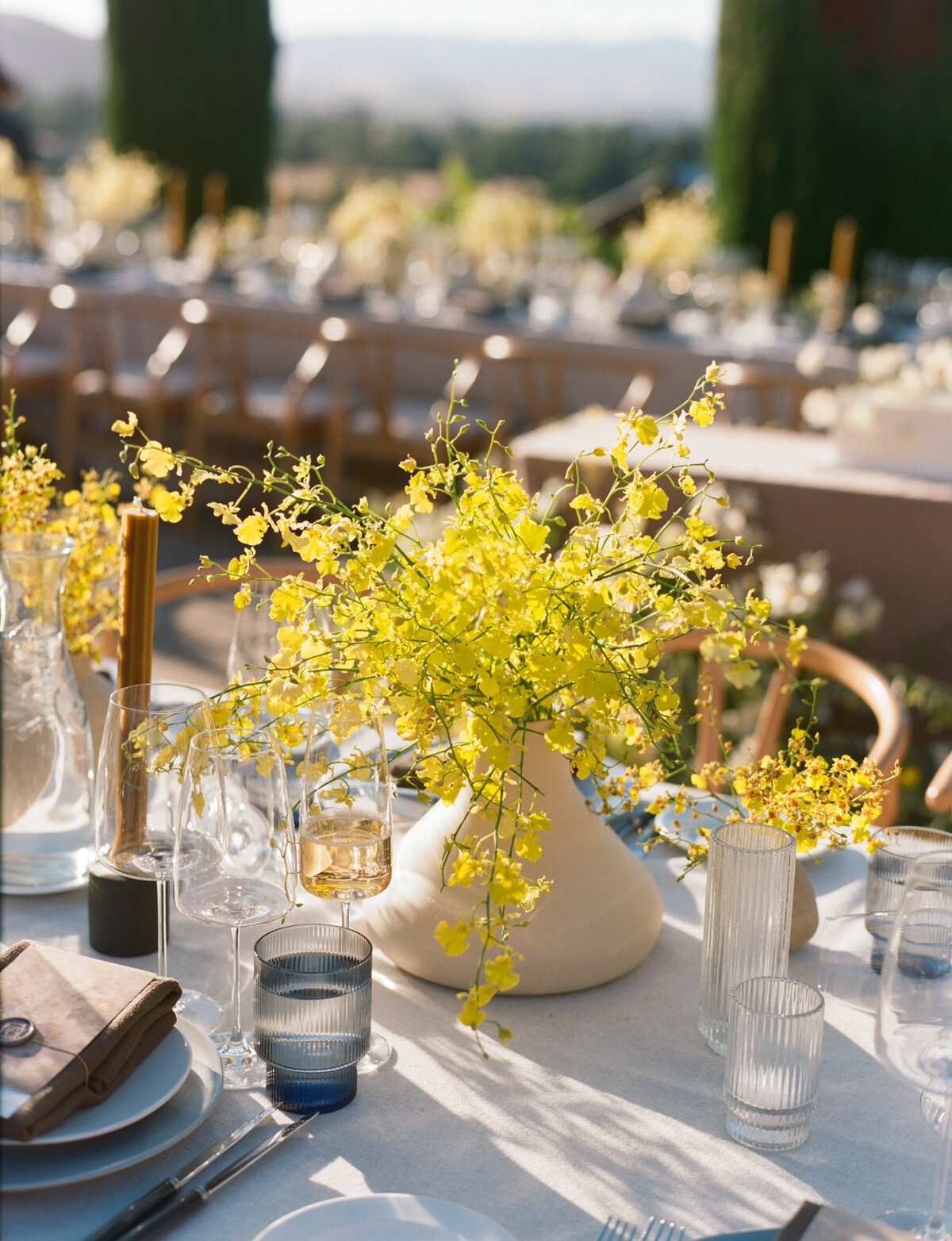 Viansa-Sonoma-Wedding-009