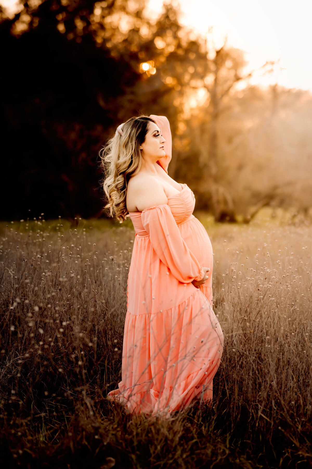 Gold River Maternity Photographer