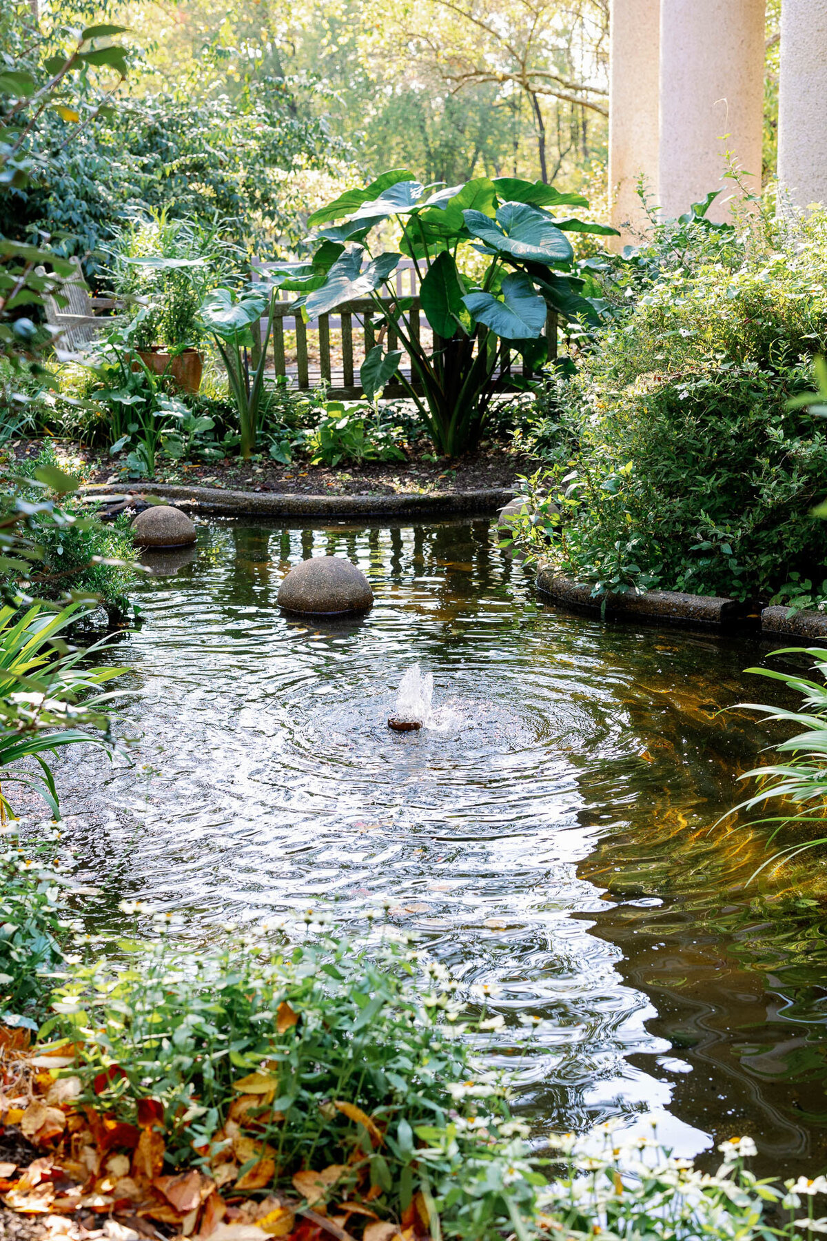 the-atrium-at-meadowlark-botanical-gardens-vienna-virginia-wedding-66