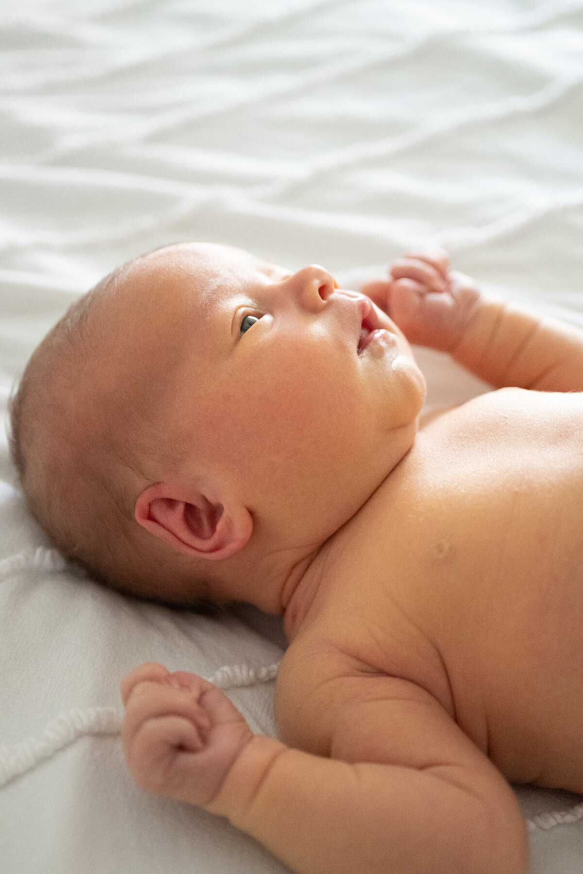 Malenke Family and Newborn Gallery 2025 November-69