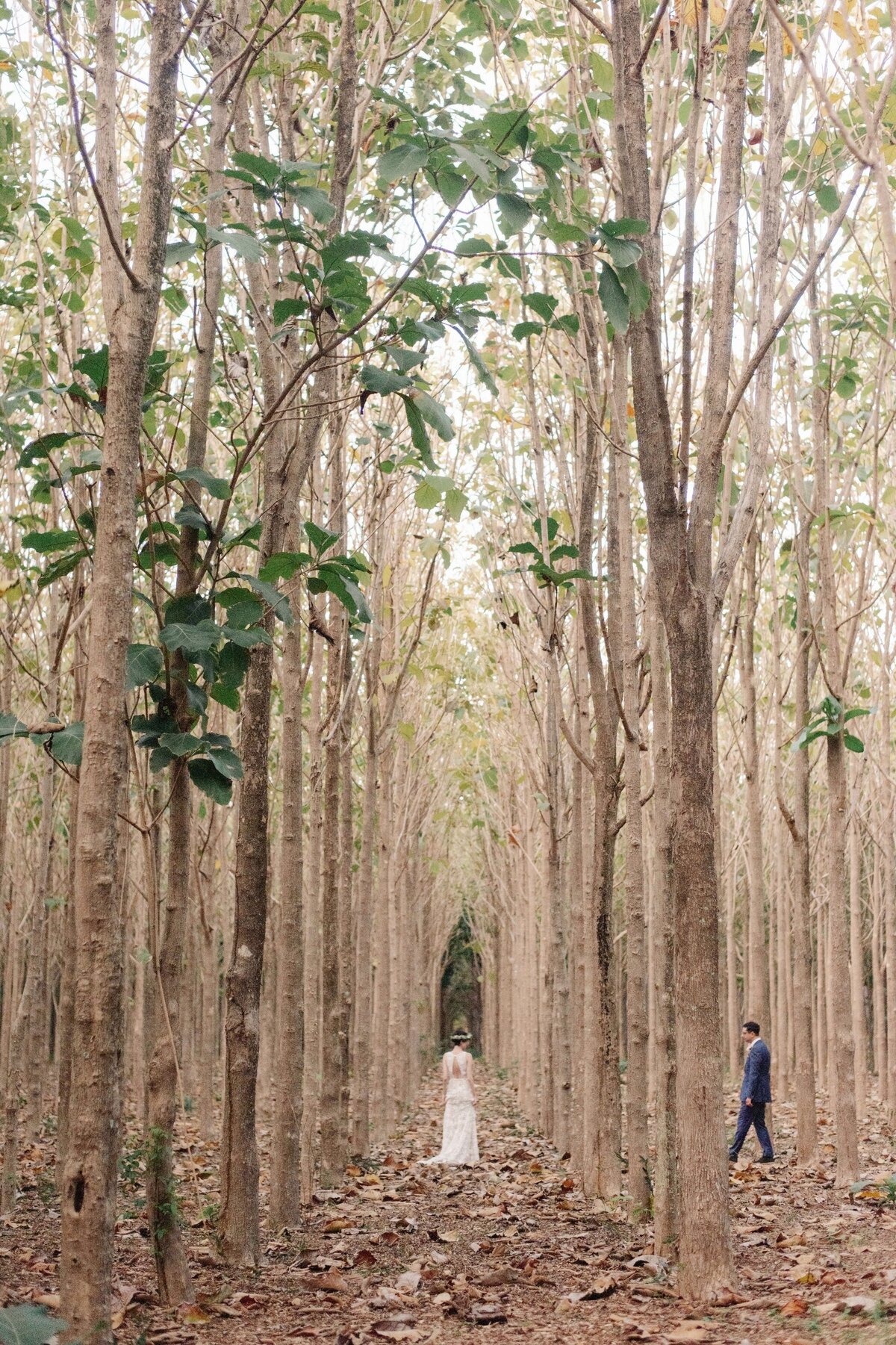 Kauai_hawaii_wedding_photographs_74a