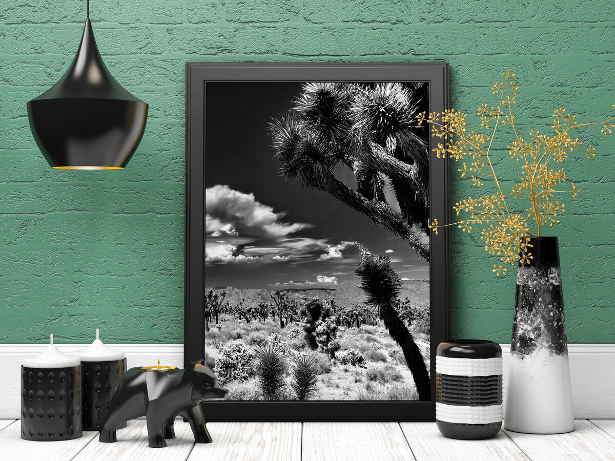 Nature_03A