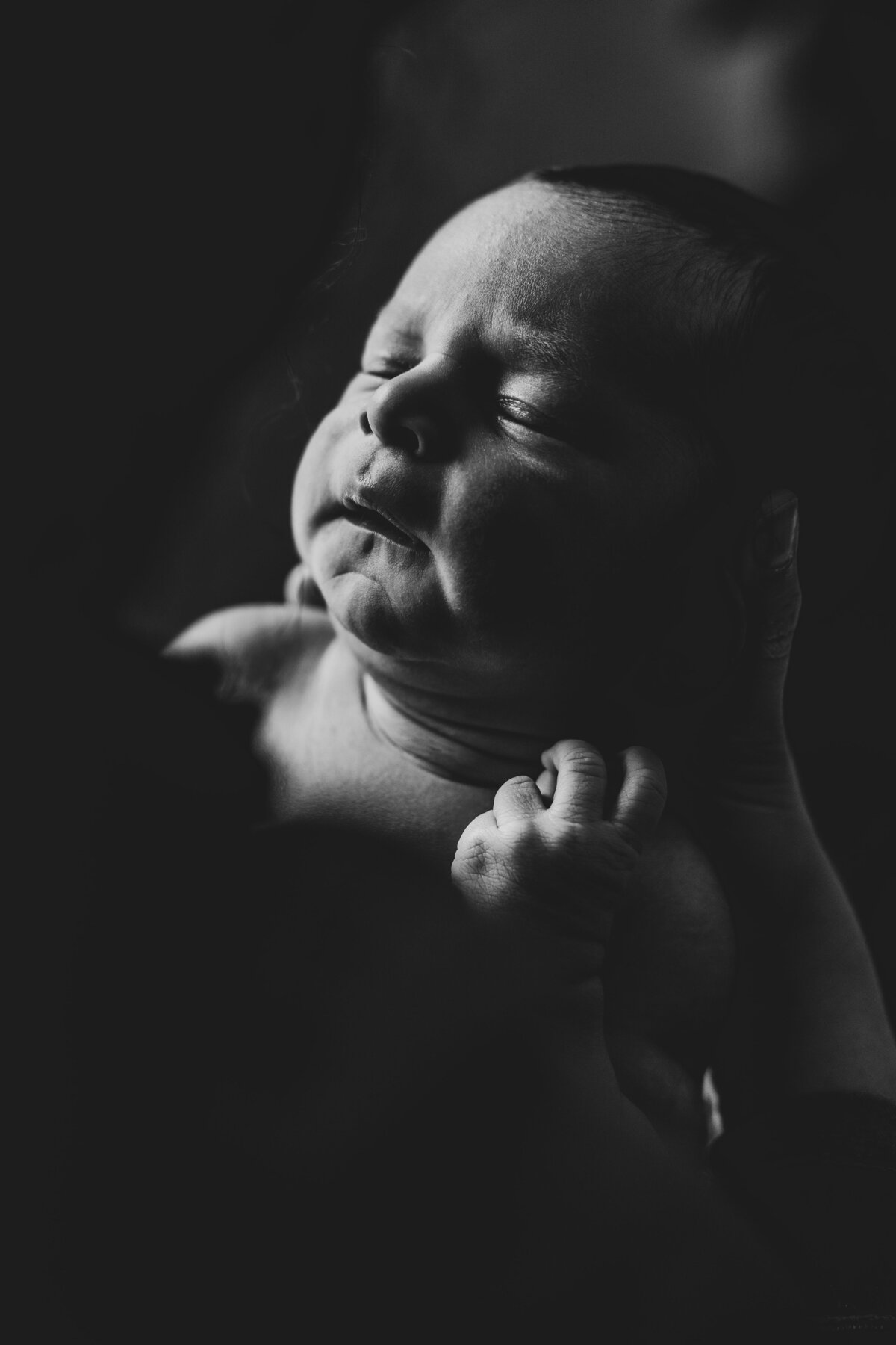 black-and-white-newborn-face