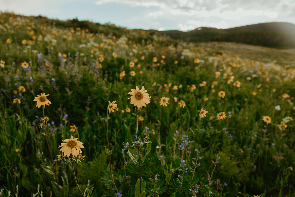 Crested-Butte-Engagement-Photos-Gunnison-County-Colorado-Wedding-Photographers-10