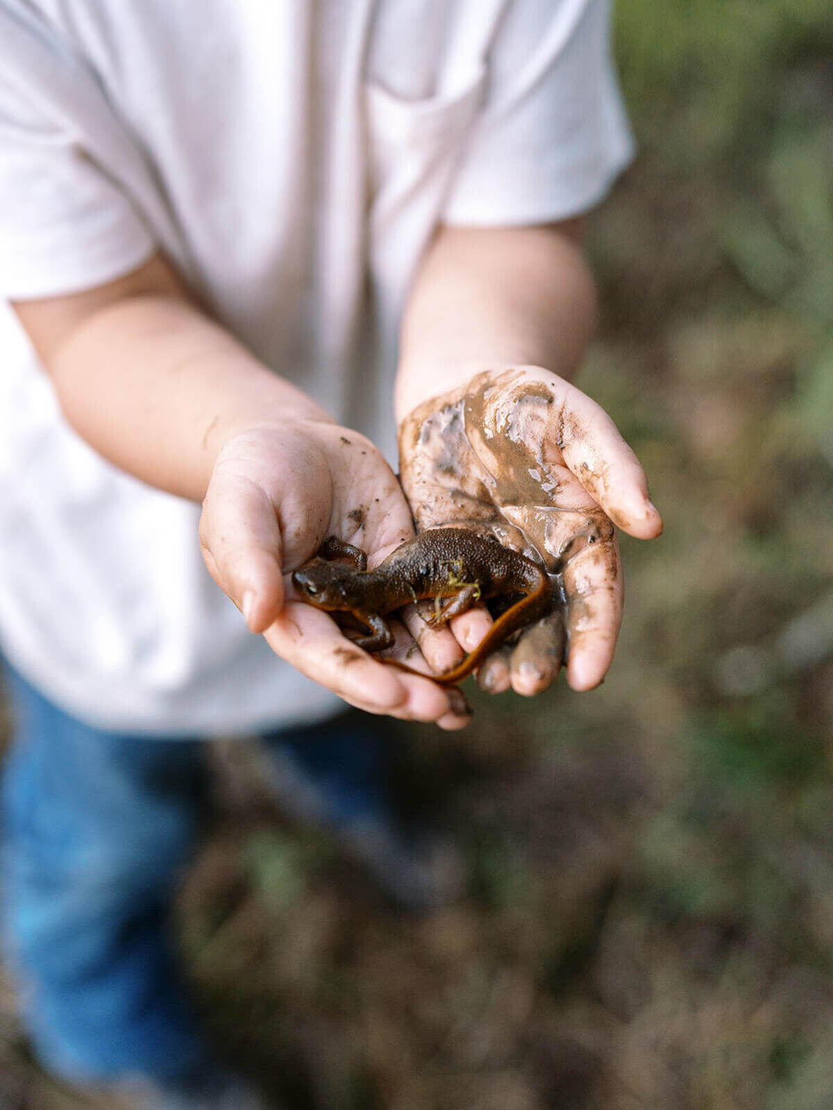 A boy with muddy hands holds a lizard during a family photography shoot.