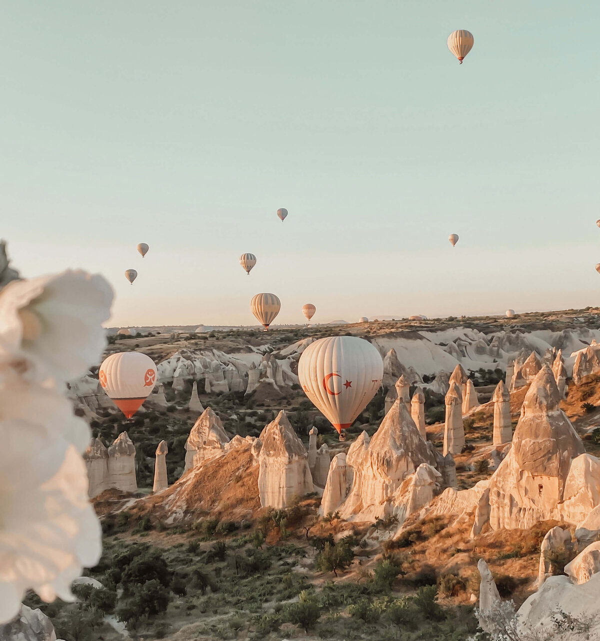 pexels-ogeday-12845265