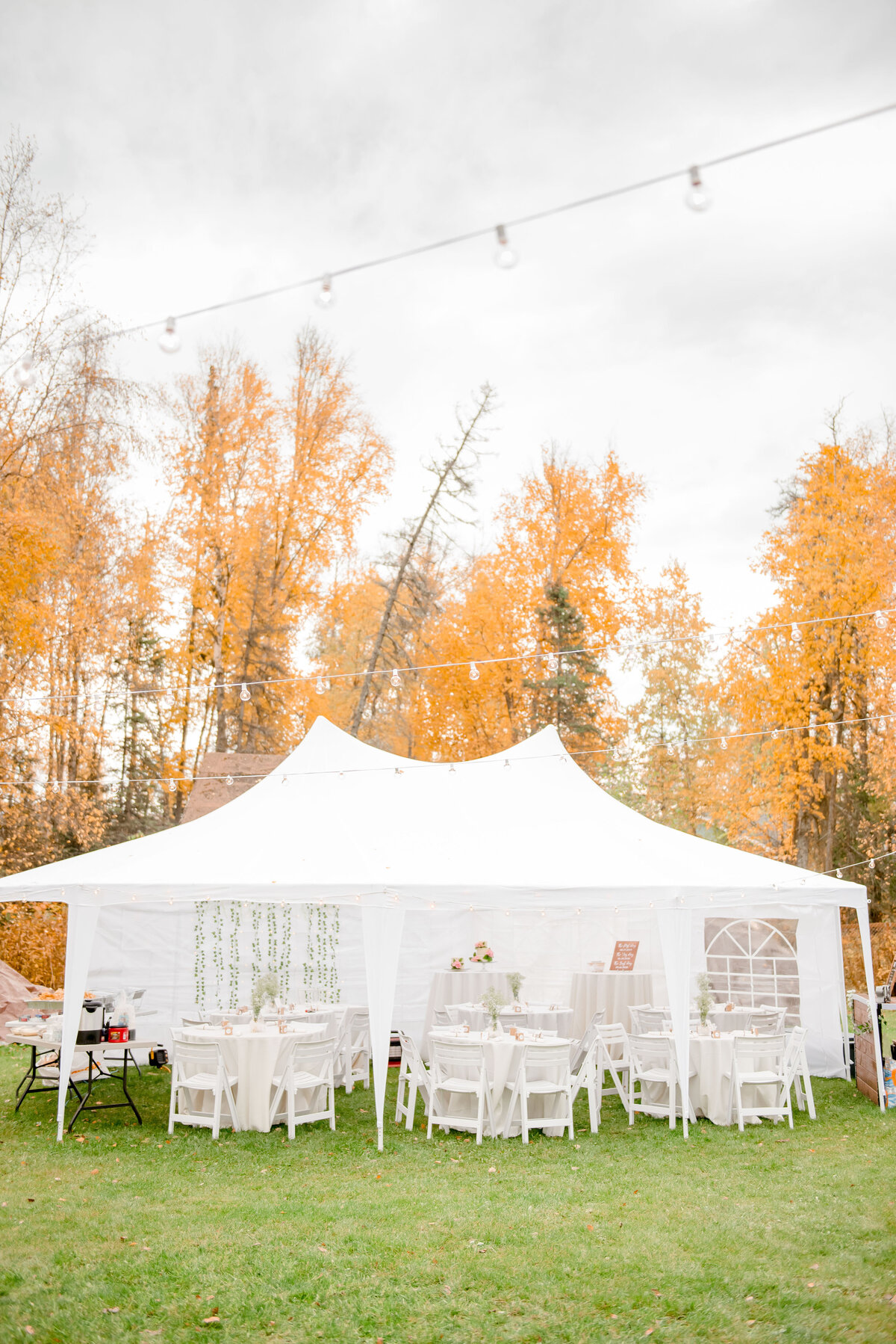 Alaska-Wedding-Photography-16