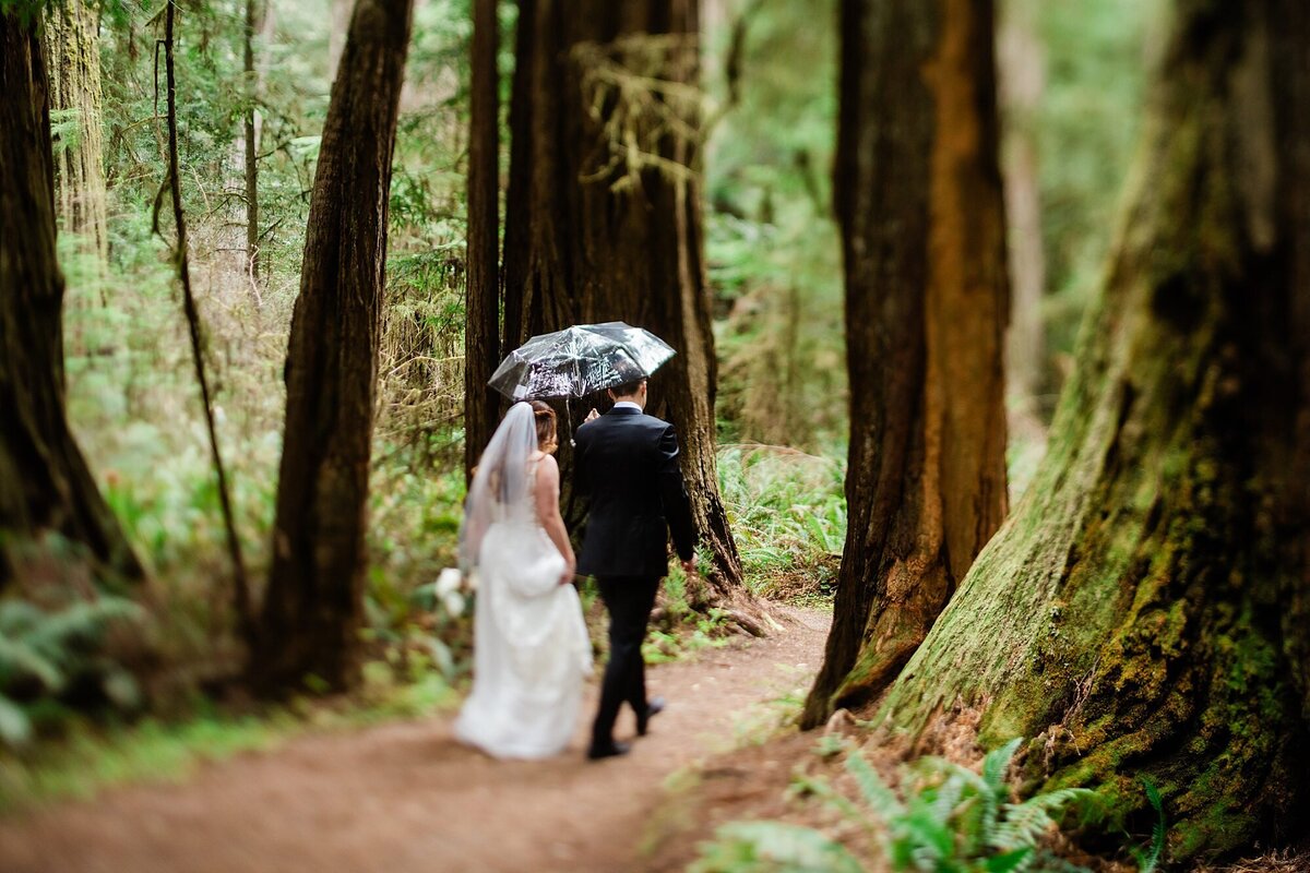 A bride and groom hold an umbrella as they walk through the forest in the Redwoods. 