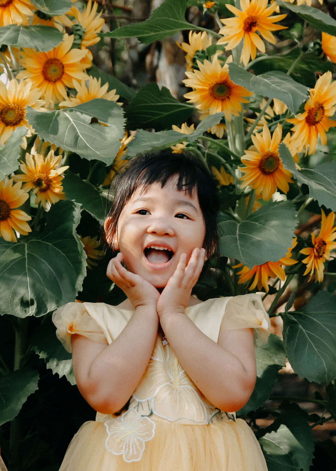 Family-Photographer-Template-Ainsley-Green-Template-022