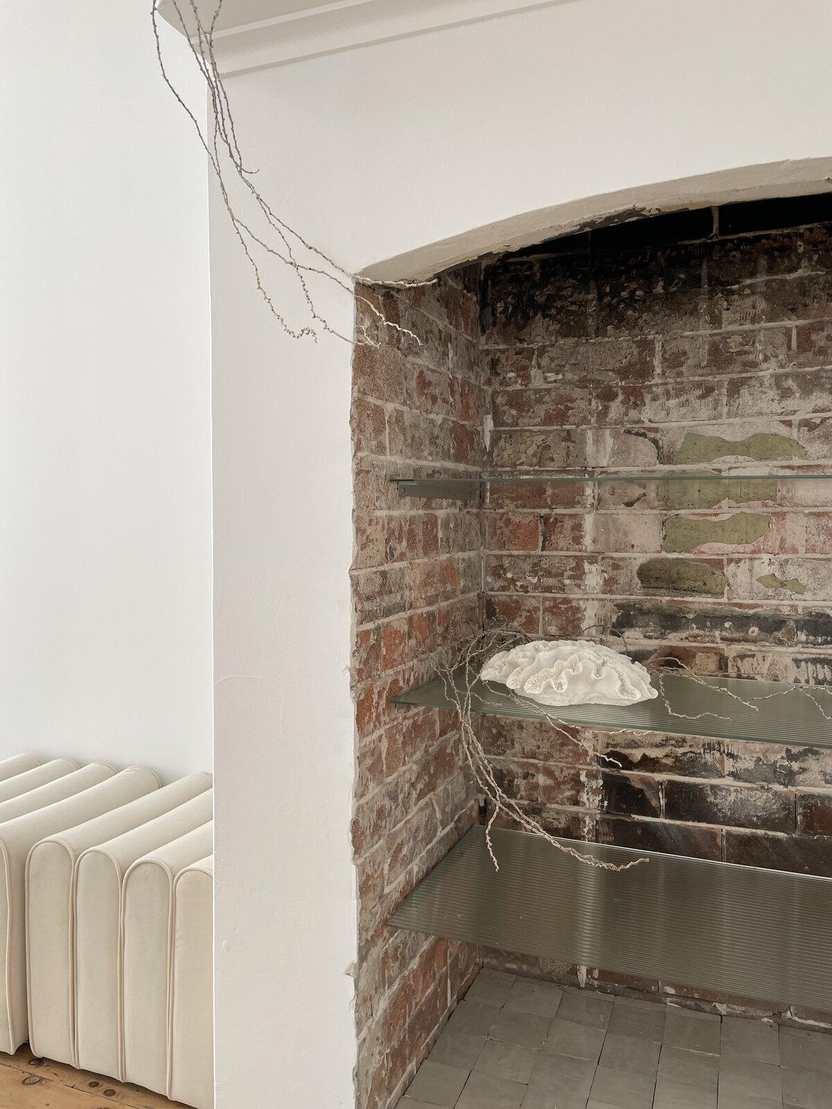 66994893791__C00C3A0F-62C7-437C-83B8-DB656B5171D4 2