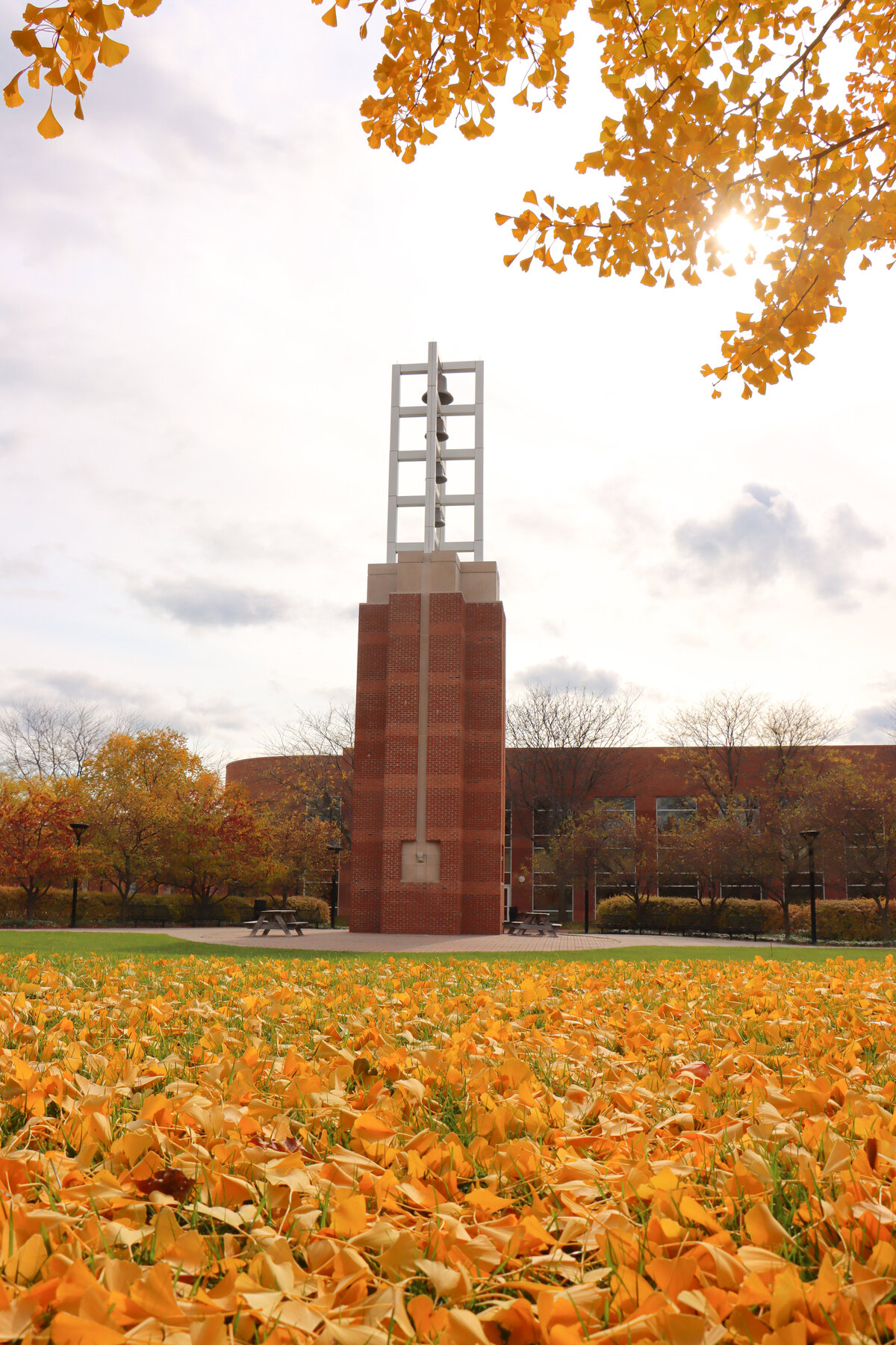 102620 bell tower with fall color leaves pov tall image