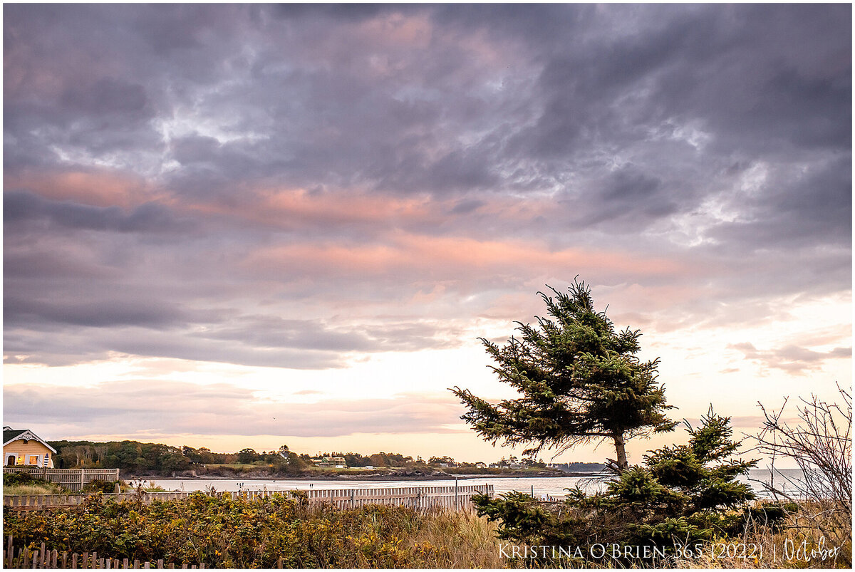 maine-family-lifestyle-photographer-0280