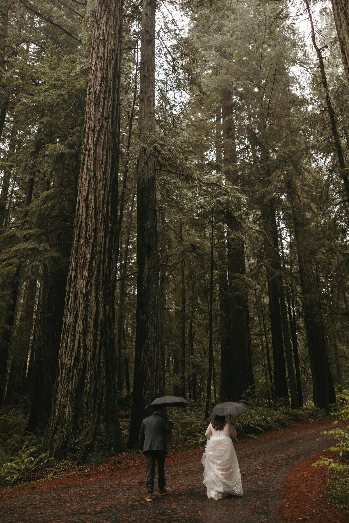 beckyzachbrookingsoregonelopement21