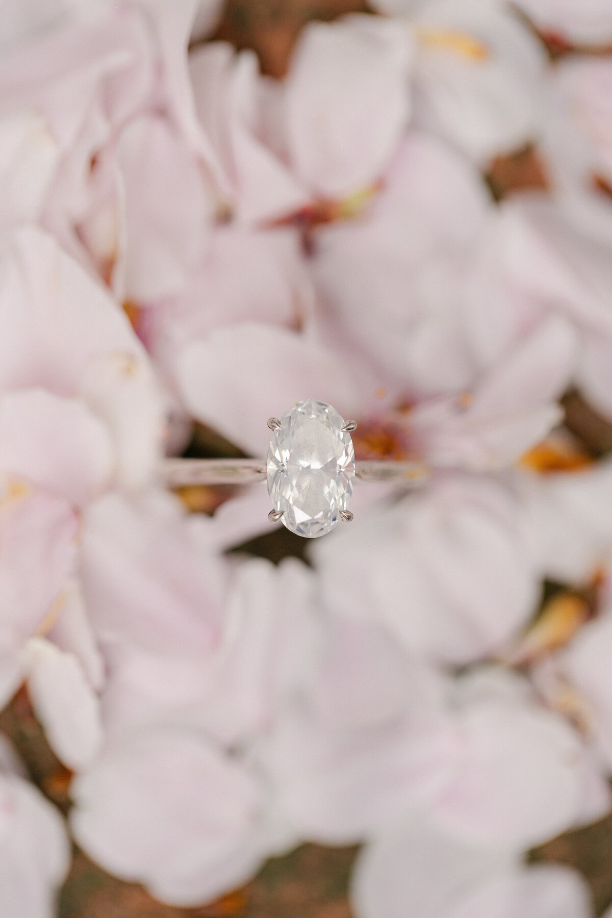 Engagement Portfolio_0017