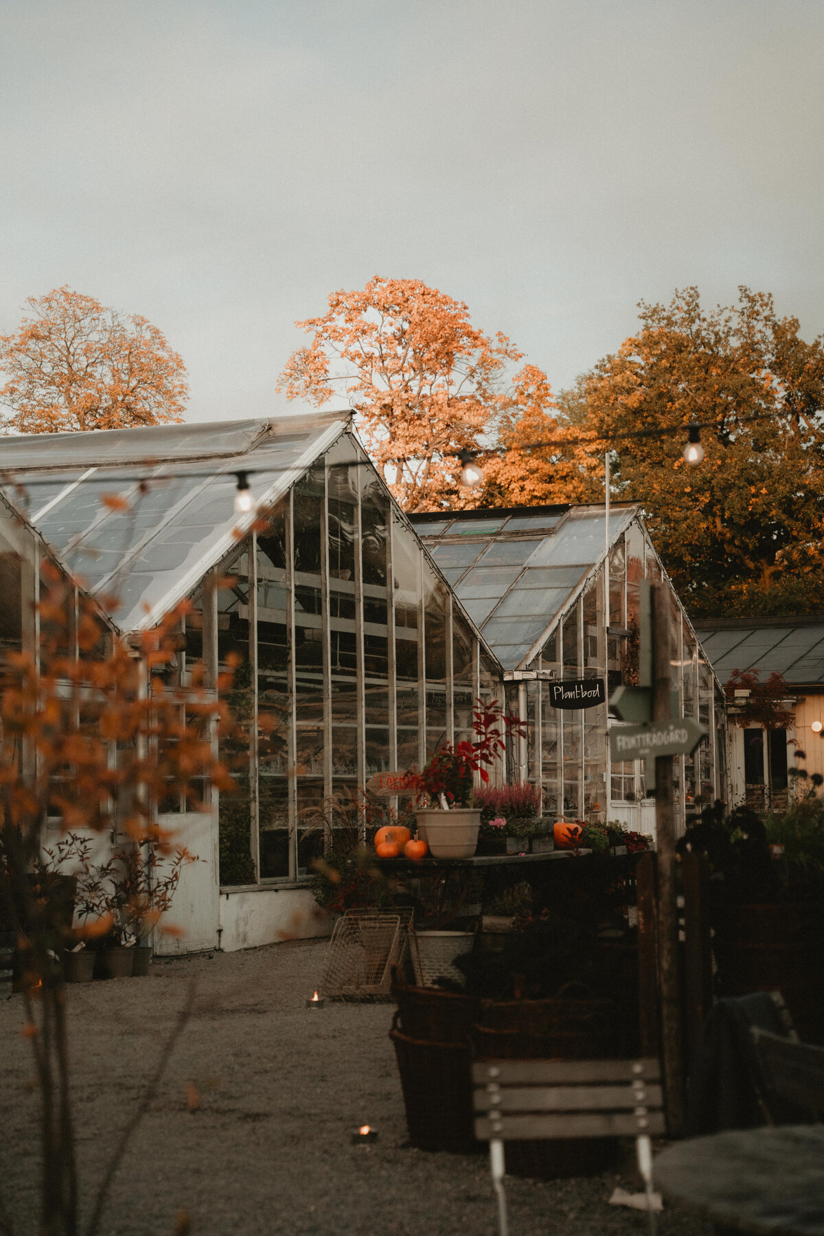 ElinJoakim-12okt2024-555