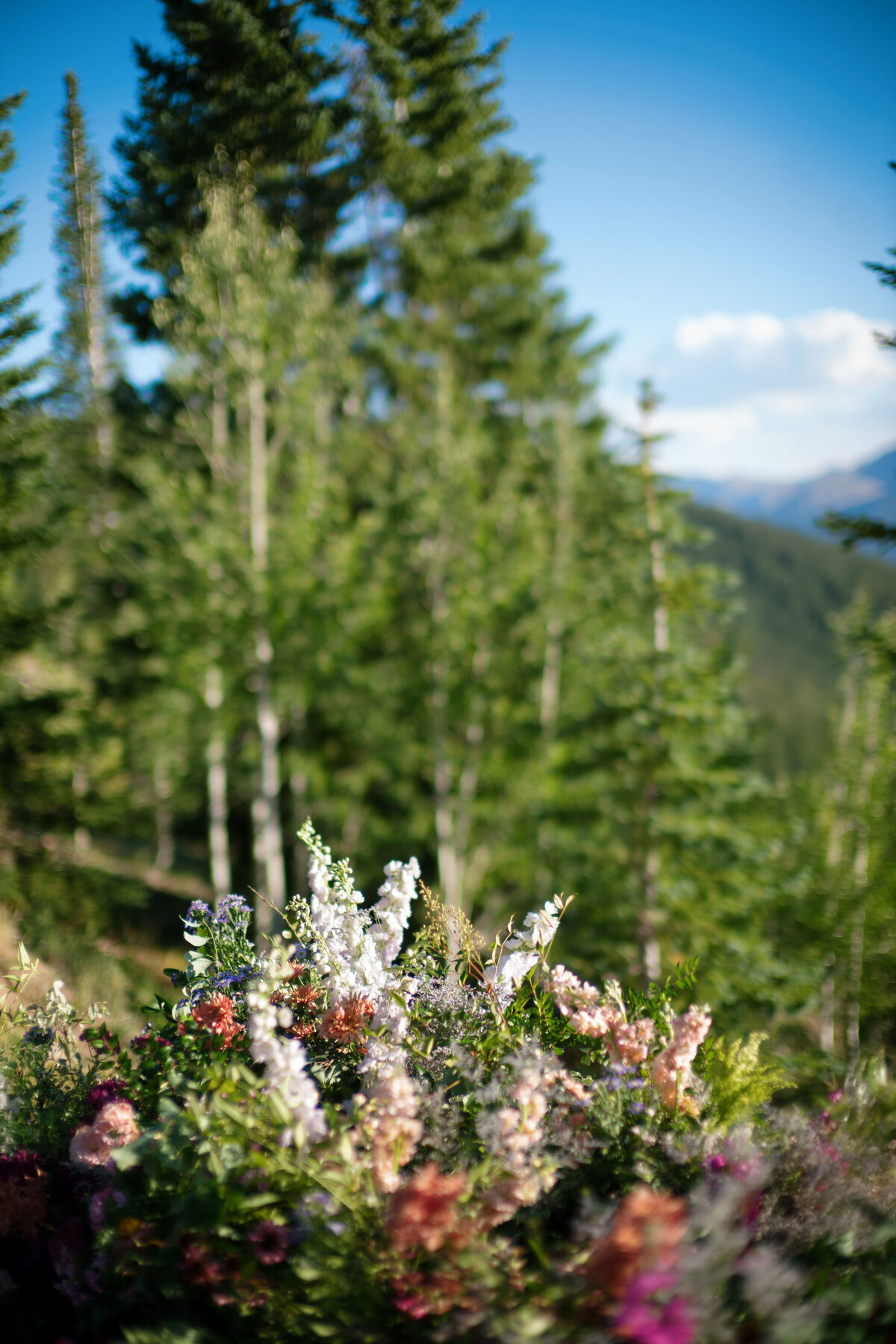 Little-Nell-Wedding_0044