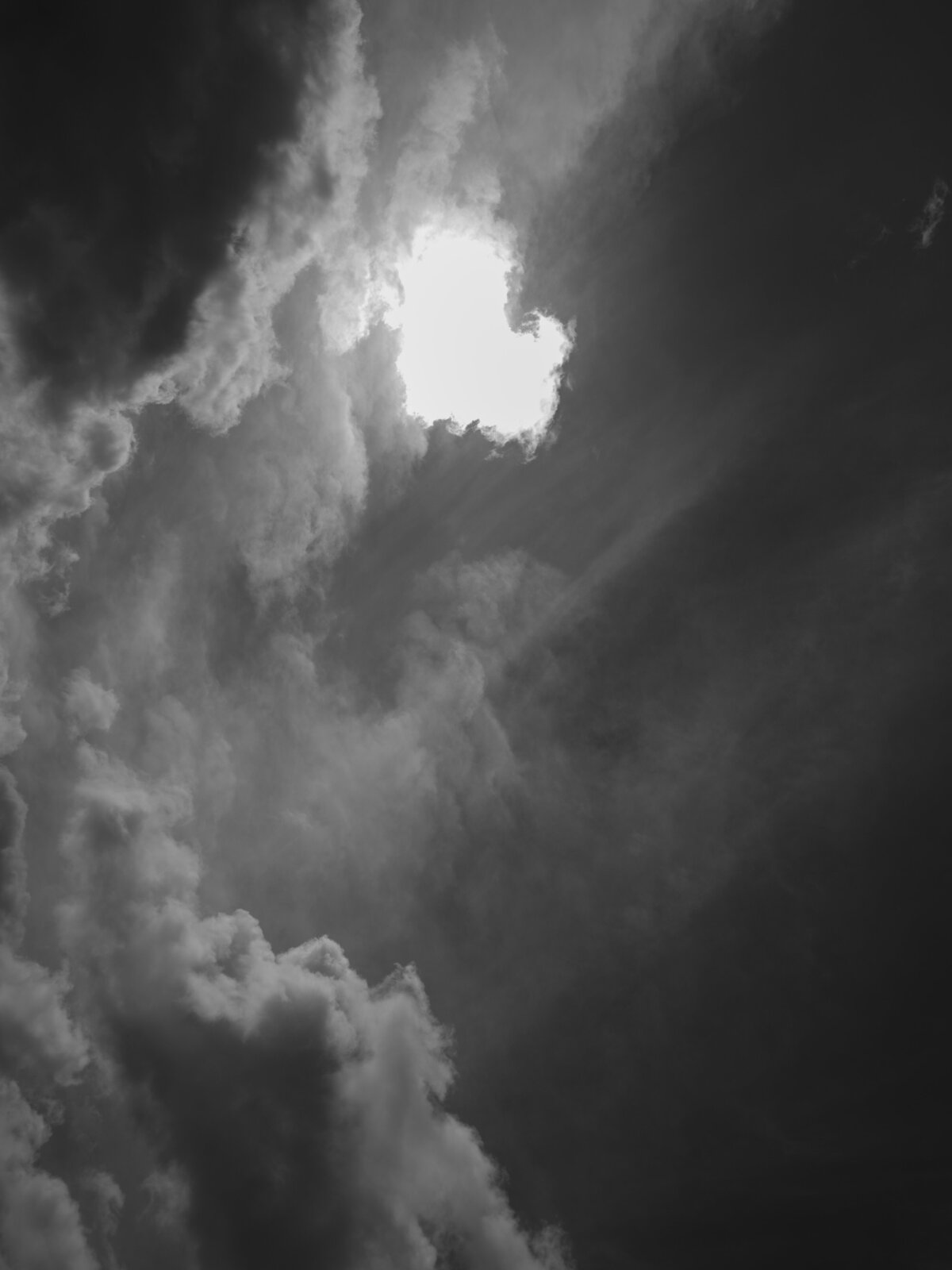 dani_toscano_kona-138