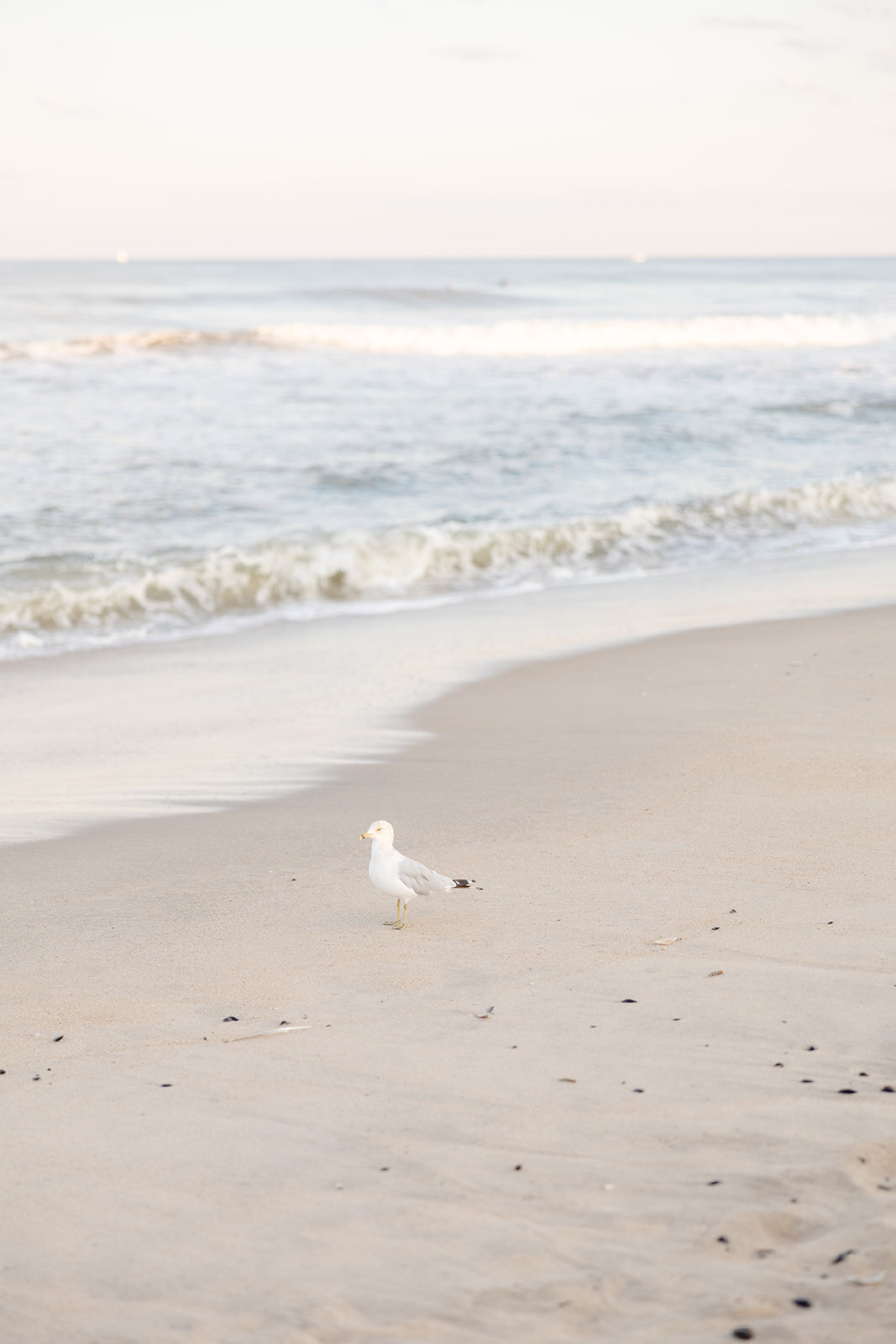 Taylor_Ryan_Final-107