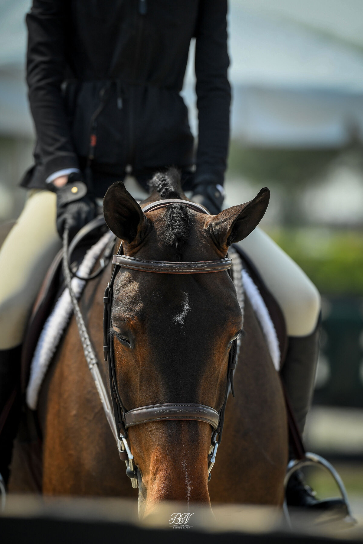 CJ12-WEF23-0912