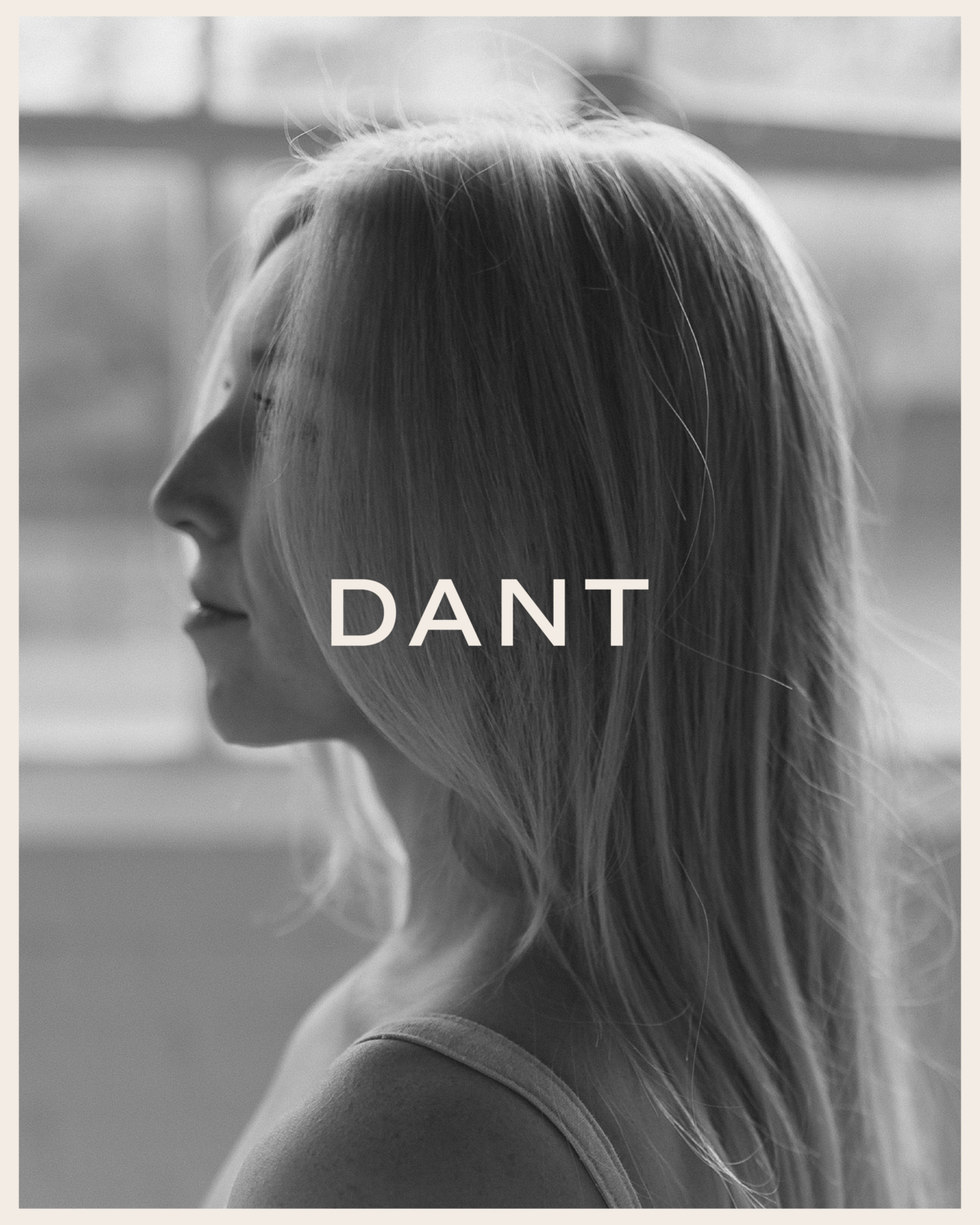 dantdesignco.com
