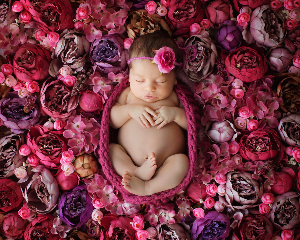 newborn in flowers254