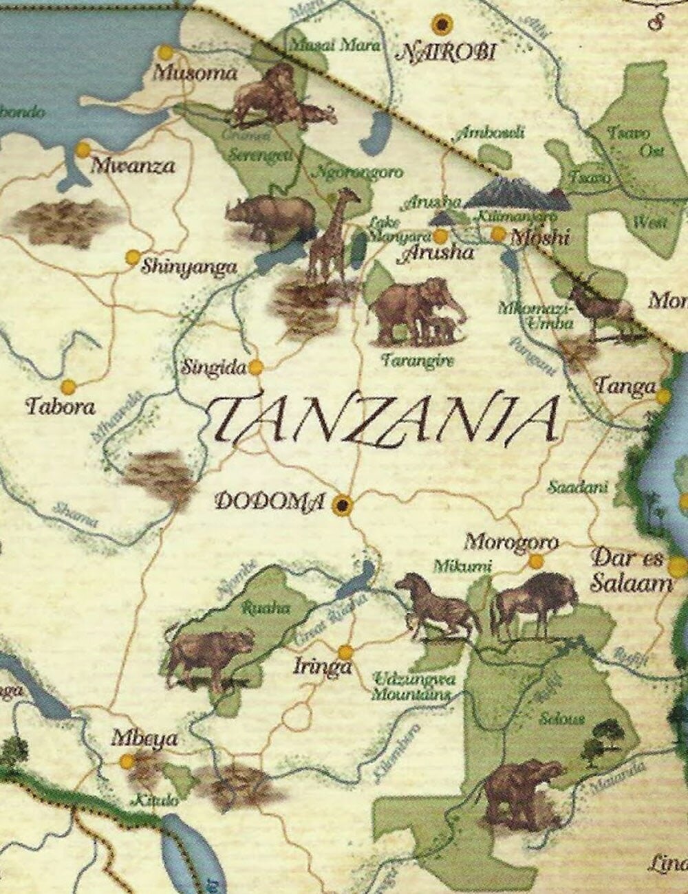 tanzania-inspiration5-min