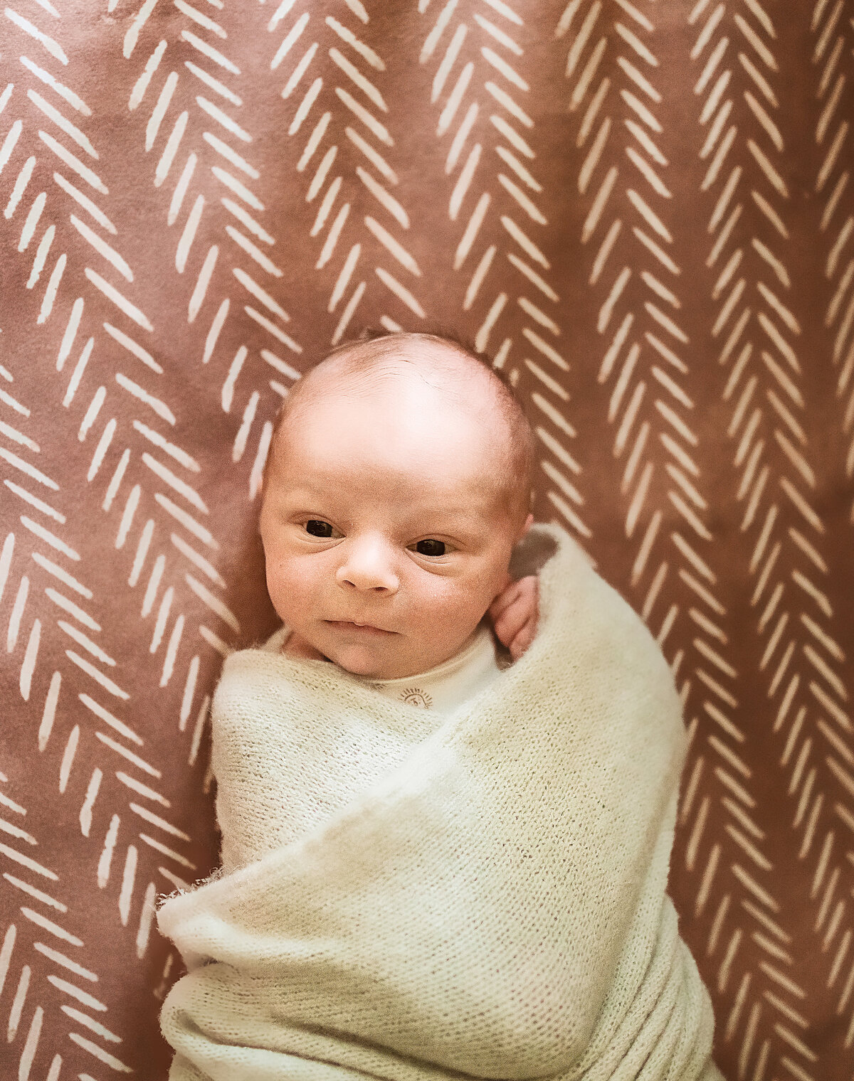 Buffalo NY WNY and Rochester NY newborn photographer styled and posed or lifestyle and natural newborn photography newfane ny newborn photogarpher wilson ny newborn photographer medina ny newborn photographer clarence ny newborn photographer lockport ny newborn photographer willilamsville ny newborn photographer east aurora ny newborn photographer lewiston ny newborn photographer