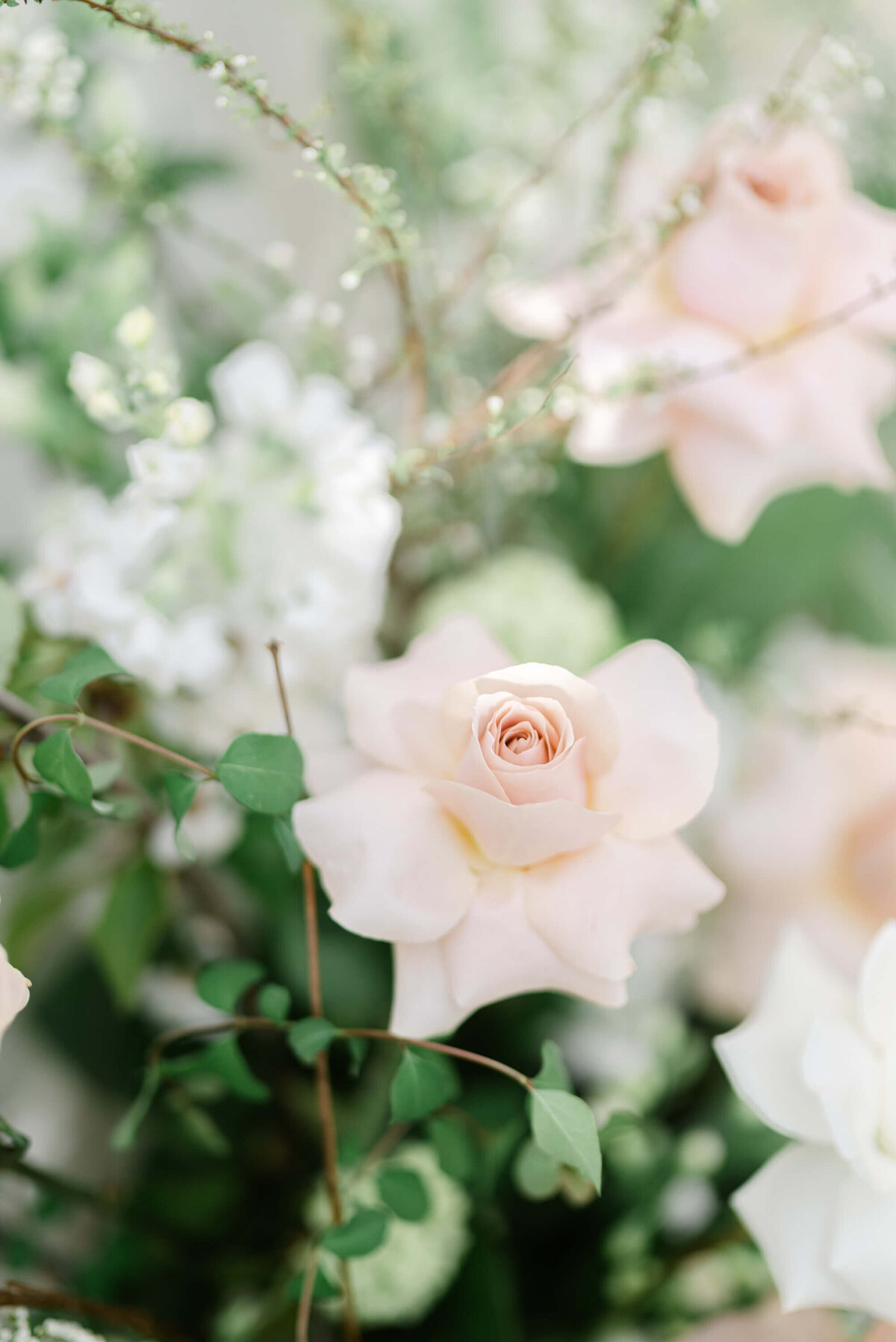 Kelowna-wedding-photographer-99