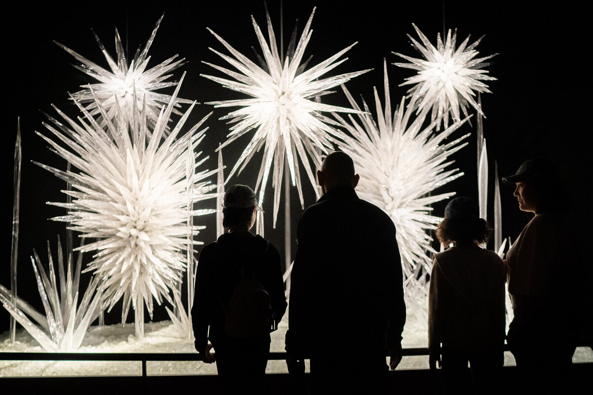 world's-best-vacation-family-photographer-SEATTLE-WASHINGTON018