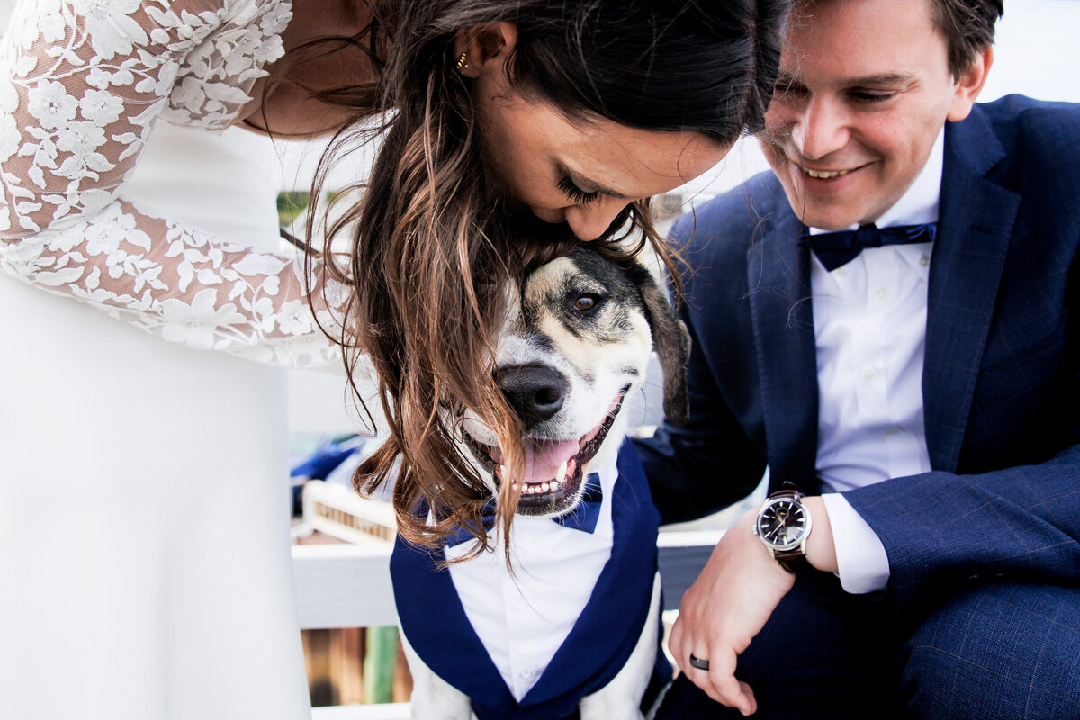 Kiss from the bride for her dog at the Ogunquit Maine elopement