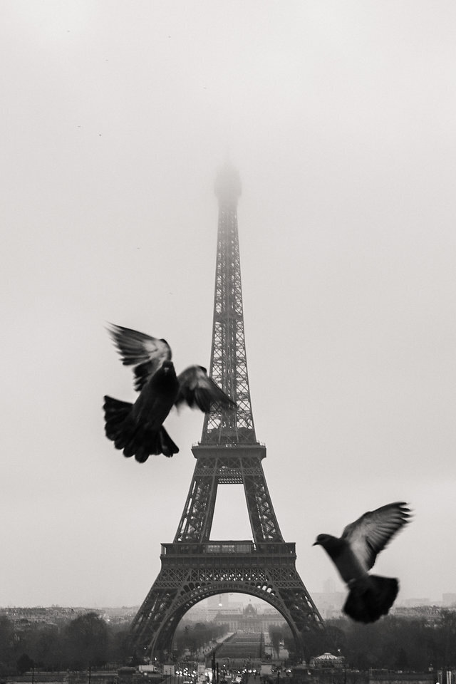 ParisJan16-4