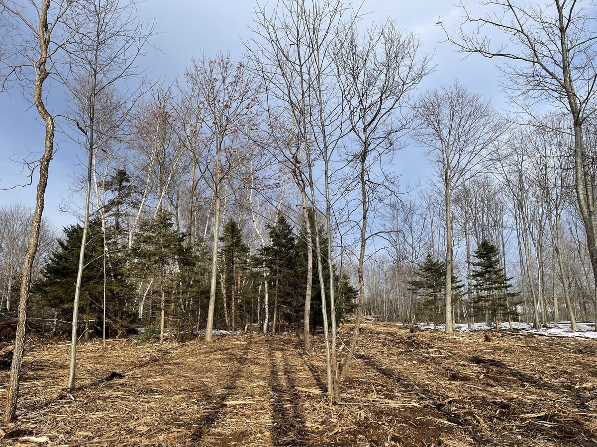 Ground Down Land Management - Excavation Services - Nova Scotia - Property Access - Trail Systems - Driveways - Patios - Landscaping - Mulching