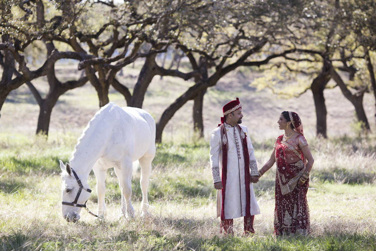 indian-weddings-horses-texas