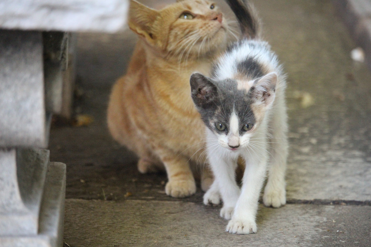 Wade_Muir_Photography_Places-21