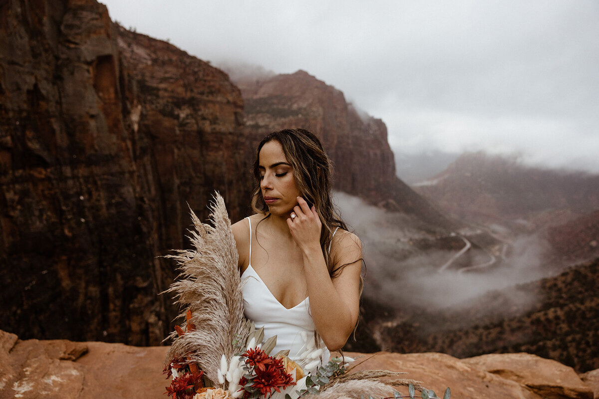 ZionSnowCanyon-dallinhassard-1582
