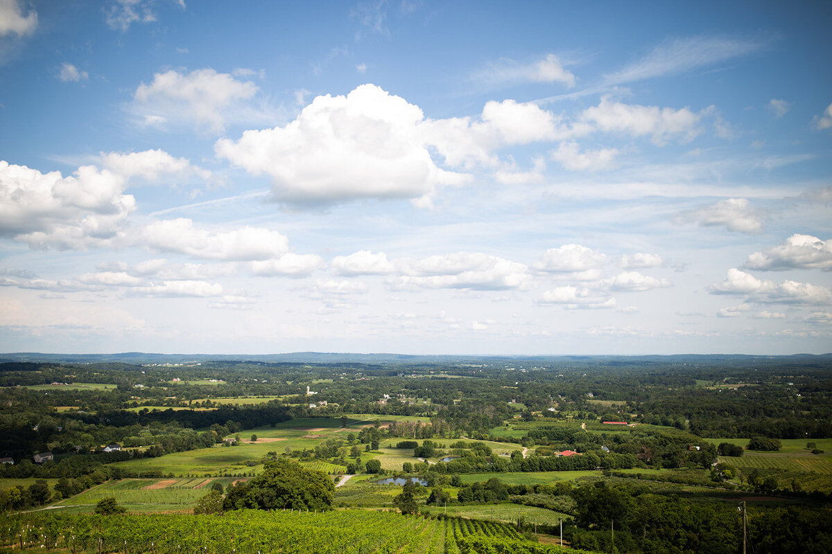 loudoun-studios-bluemont-vineyards-weddings-va00015