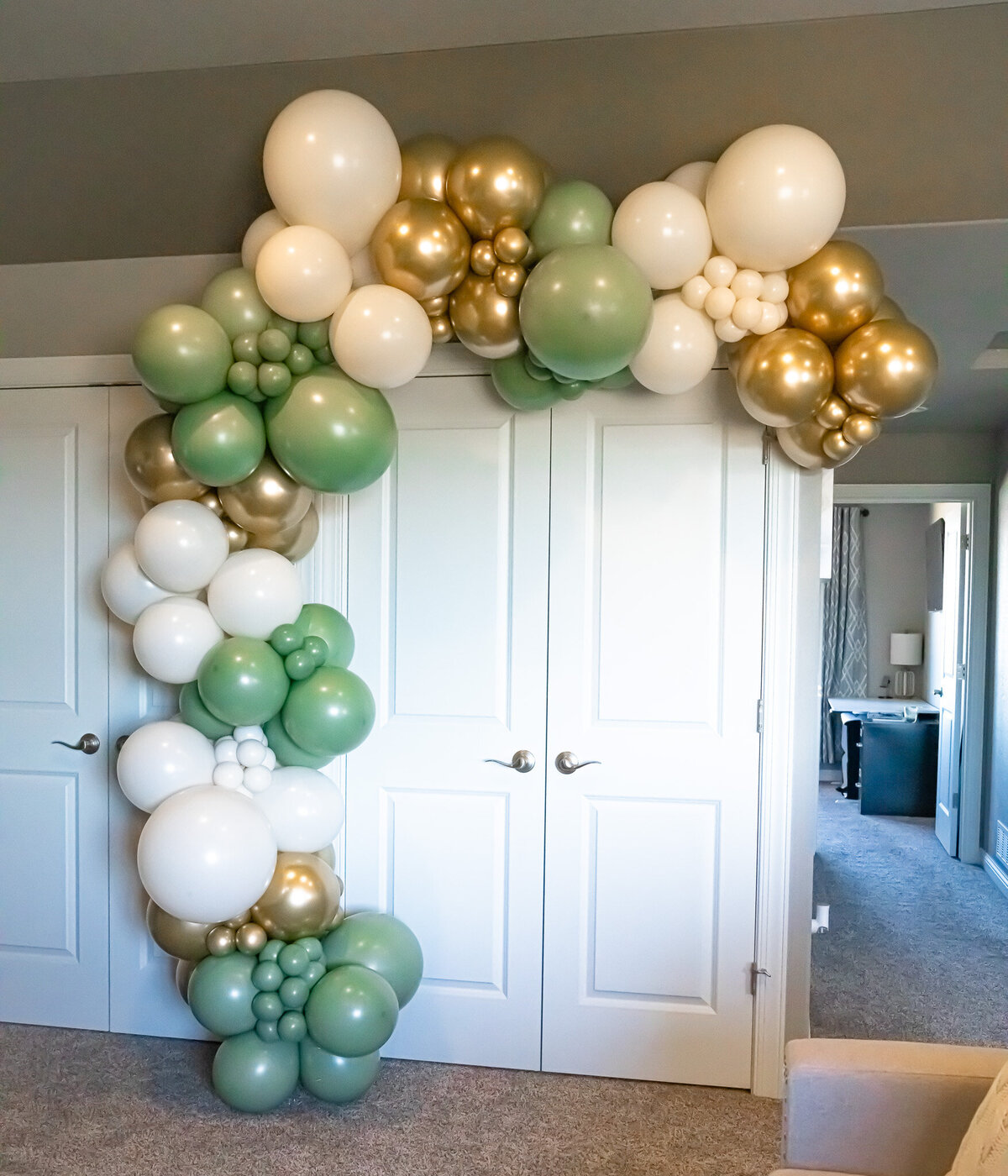 balloons-bismarck-nd-21