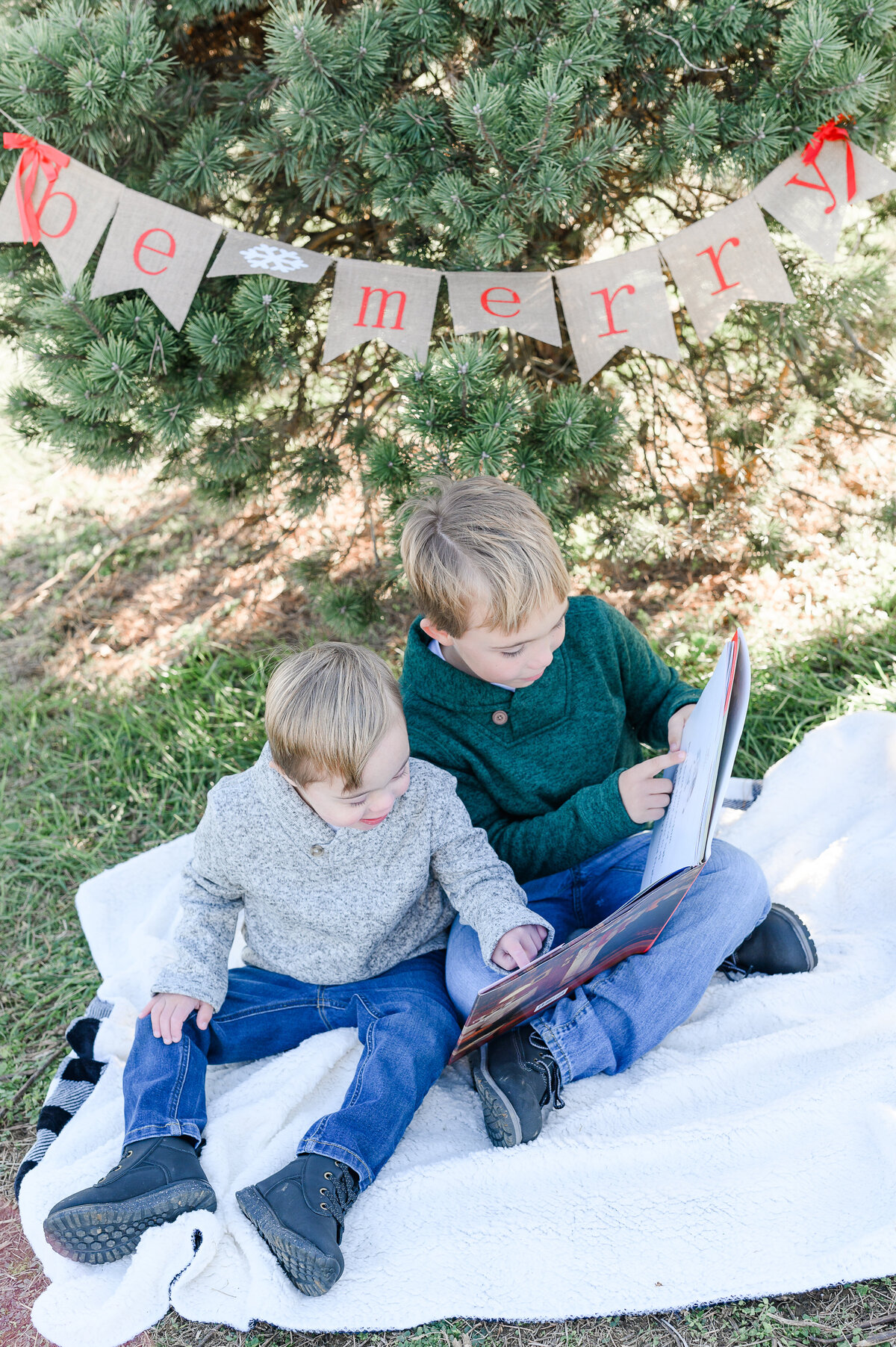 Christmas Minis two brothers reading book photo by Michelle Lynn Photography located near Louisville, Kentucky